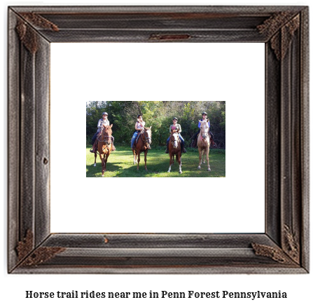 horse trail rides near me in Penn Forest, Pennsylvania